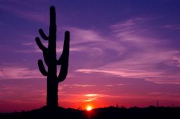 Arizona Sunset