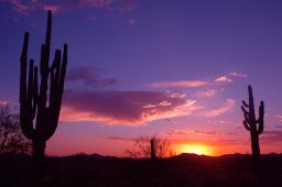 Arizona Sunset Picture