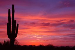 Arizona Sunset Picture