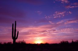 Arizona Sunset