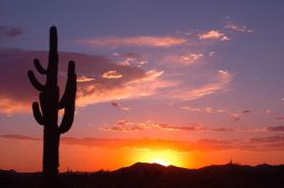 Arizona Sunset Picture