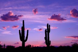 Arizona Sunset