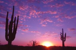 Arizona Sunset Picture