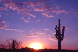 Arizona Sunset Picture