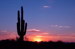 Arizona Sunset Picture