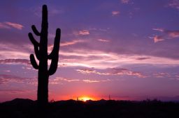 Arizona Sunset Picture