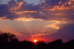 Arizona Sunset Picture