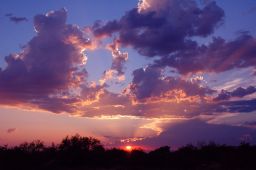 Arizona Sunset Picture