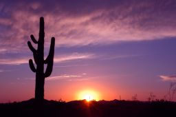 Arizona Sunset Picture