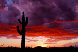 Arizona Sunset Picture