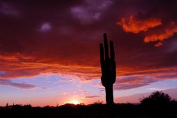 Arizona Sunset Picture