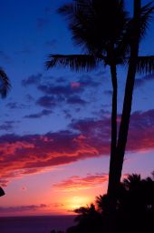 Maui Sunset Picture