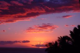 Maui Sunset Picture